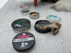 Полноразмерное изображение доступно для зарегистрированных пользователей
