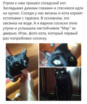 Полноразмерное изображение доступно для зарегистрированных пользователей
