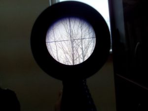Полноразмерное изображение доступно для зарегистрированных пользователей