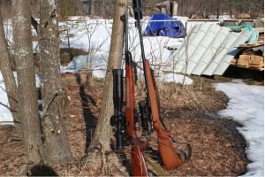 Полноразмерное изображение доступно для зарегистрированных пользователей