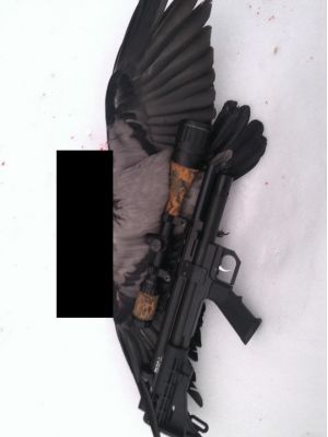 Полноразмерное изображение доступно для зарегистрированных пользователей