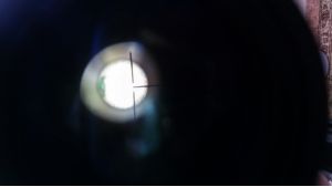 Полноразмерное изображение доступно для зарегистрированных пользователей