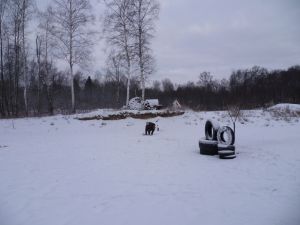 Полноразмерное изображение доступно для зарегистрированных пользователей